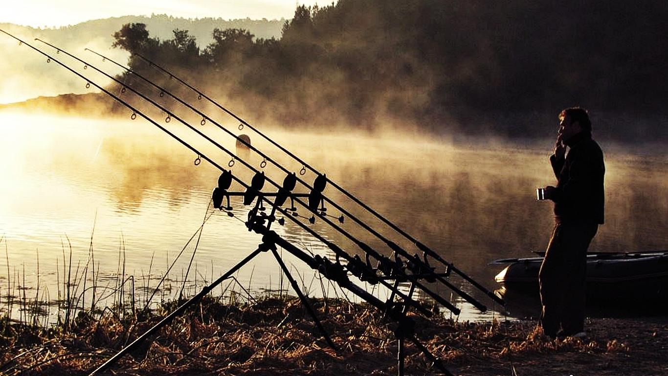 Diverse - carp-fishing-793077.jpg